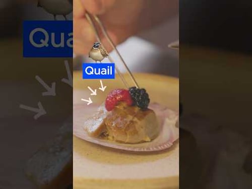 Wait, Can Scientists Create Real Animal Meat?