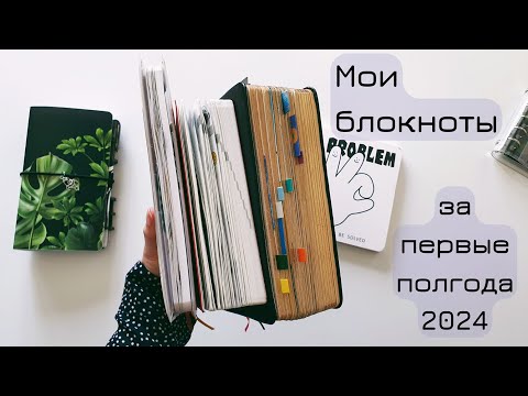 Какими блокнотами я пользуюсь сейчас | июль 2024