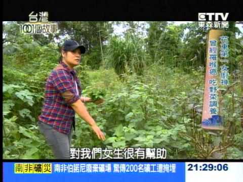 花東第一女廚神 山林吃野菜 阿美族最愛 - 台灣1001個故事