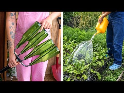 Otdoor Gardening hacks and DIY Tools for any Plants