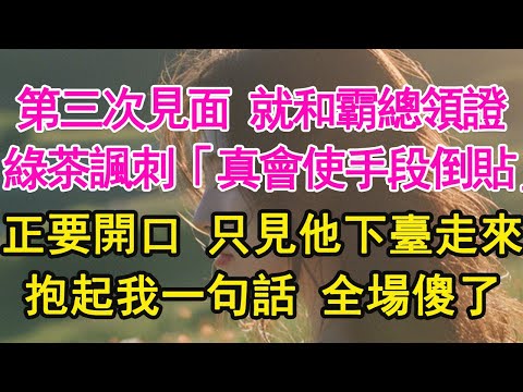 第三次見面 就和霸總領證,綠茶諷刺「真會使手段倒貼」正要開口 只見他下臺走來,抱起我一句話 全場傻了【琉璃】【甜寵】【霸總】