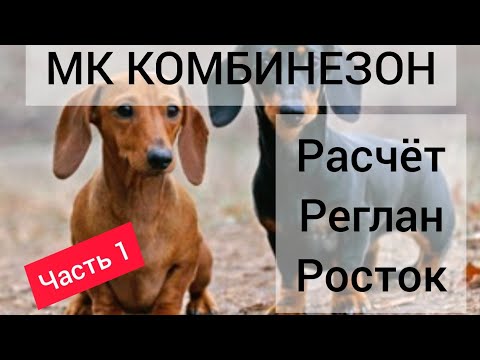 ❤️МК комбинезон для таксы девочки/ MK Overalls for dachshund girls