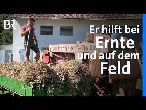 Aus Liebe zur Landwirtschaft: Betriebshelfer Patrick Lerchl | Zwischen Spessart und Karwendel | BR