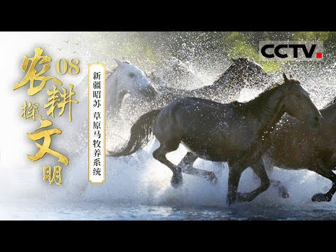 《2025农耕探文明》08 新疆昭苏:解码昭苏草原天马的千年牧养智慧 探寻天马如何从历史奔向未来的活力之源——草原马牧养系统【CCTV纪录】