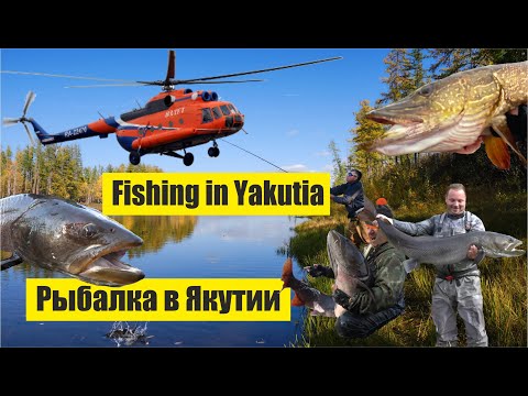 Рыбалка в Якутии за гранью реальности / Fishing in Yakutia beyond reality (Hucho taimen)