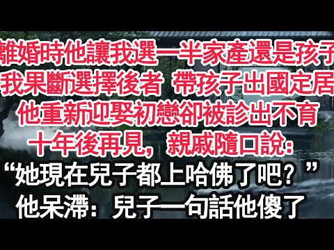 離婚時他讓我選擇一半家產還是孩子我果斷選擇後者 帶孩子出國定居他重新迎娶初戀卻被診出不育十年後再見,親戚隨口說:“她現在兒子都上哈佛了吧?”他呆滯:你說什麼?兒子一句話他傻了【顧亞男】【大女主】