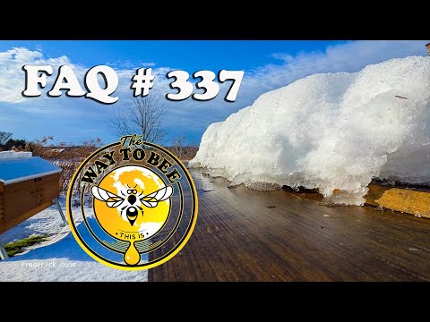 Backyard Beekeeping Q&A 337 December 19th 2025 Legal VS Illegal Miticides and more.