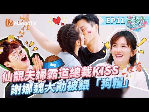 EP11丨張智霖霸道總裁KISS袁詠儀!謝娜跟魏大勛的表情在演我 又是被神仙愛情感動的一天!丨MangoTV 王牌綜藝 #妻子的浪漫旅行第二季 EP11