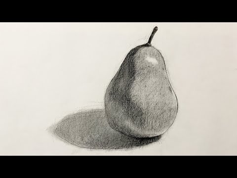 Charcoal Drawing. for Beginners