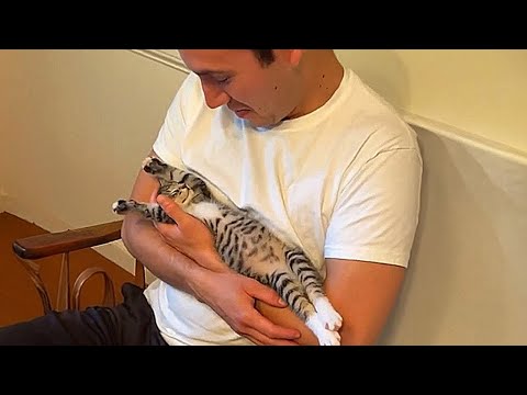 When Your Cat Thinks He's a Baby! π€£