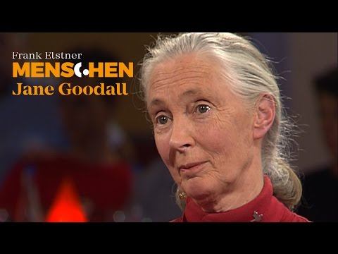 Was unterscheidet uns von Schimpansen? - Jane Goodall | Frank Elstner Menschen