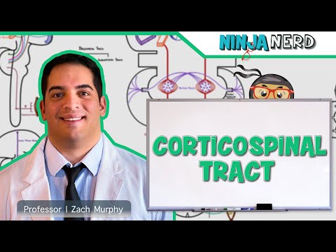 Neurology | Descending Tracts: Corticospinal Tract