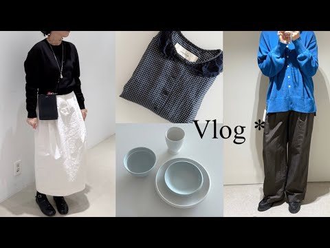 Vlog | 고효 | 끝나지 않은 봄맞이 쇼핑🛒🫧 | 비아플레인, 모노하, 문달 | 새로운 발견✨ 시호일, 티에르노 | ft.봄날의 도쿄 여행 🌿
