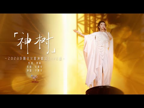 『神树』- 2023华晨宇火星演唱会LIVE版