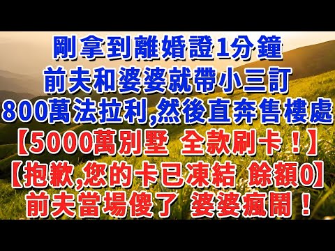 剛拿到離婚證1分鐘,前夫和婆婆就帶小三,訂800萬法拉利,然後直奔售樓處【5000萬別墅 全款刷卡!】【抱歉,您的卡已凍結 餘額為0】前夫當場傻了 婆婆瘋鬧!#小娟講故事 #情感故事 #老年生活