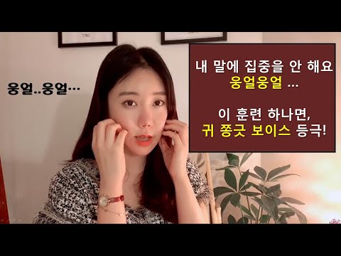 웅얼거리는 발음목소리,어눌한 말투,먹는소리빼기(비즈니스,PT면접 스피치활용)
