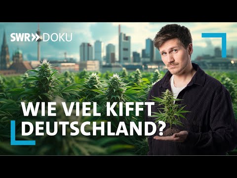 Die Realität nach einem Jahr Cannabis-Gesetz: Wie viel kiffen wir wirklich? | SWR Doku