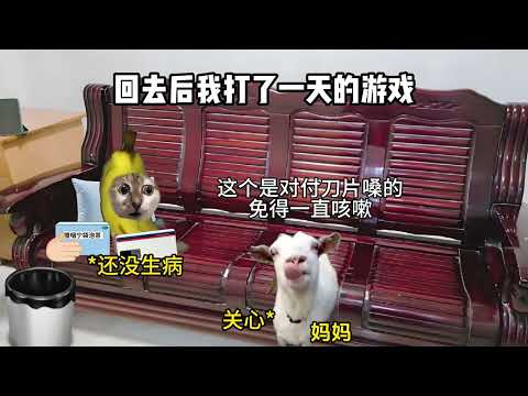 猫meme的日常-流感传染 但我没流感被当流感对待??! #猫meme #猫meme小剧场 #猫meme剧场 #内容过于真实 #搞笑