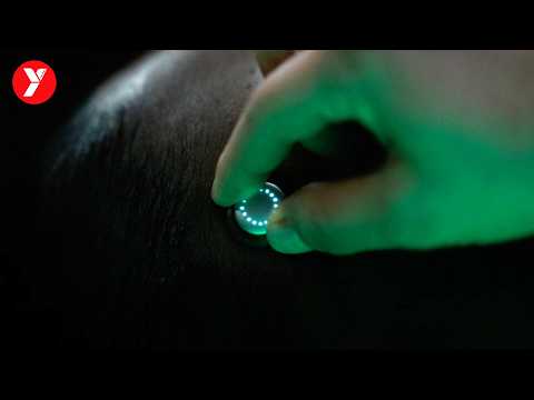 【越哥】借助AI,人人都可以成为电影主角!2025最惊艳的科幻神作