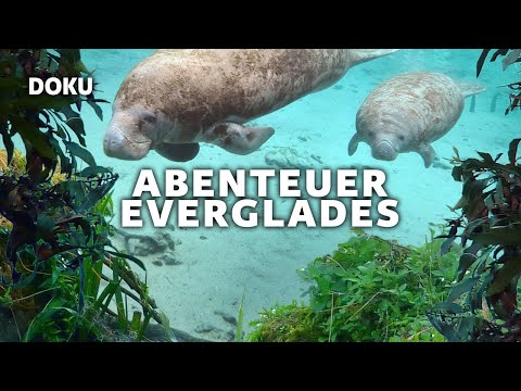 Everglades Adventures – The Manatees of the Crystal River (full-length spectacular DOCU in German)