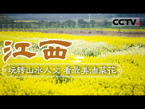 去江西看最美油菜花 把美景尽收眼底 快来开启一场惊艳之旅吧!——江西【CCTV纪录】