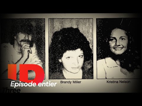 5 disparitions, aucun coupable 🩸 Crime à la Une