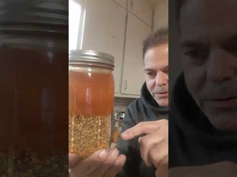 making bee bread part 2