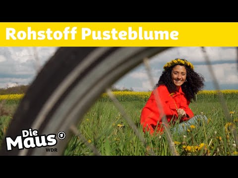 Wie wird aus Löwenzahn ein Fahrradreifen? | Die Maus | WDR