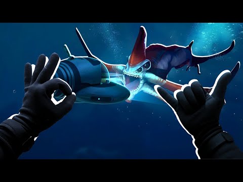 I Got Dive Certified To Check if Subnautica Is Realistic