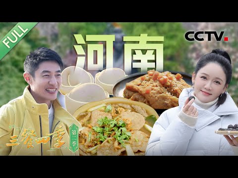 【Full】羊肉胡辣汤 开封灌汤小笼包 鲤鱼焙面 南阳牛肉汤 西瓜酱 祛寒娇耳汤 新野板面……撒贝宁、陈乔恩、韩雪等带你领略舌尖上的河南风情 | CCTV「三餐四季 第二季」第8期 20250420
