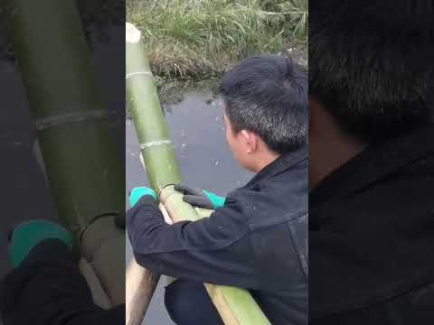 The dream bamboo house is under construction 【Water Dweller】