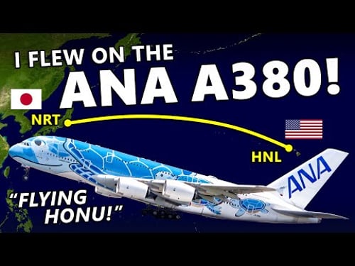 I Flew on the ANA A380! The "Flying Honu" Experience