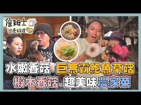 《精選詹姆士棒的》菇菇大集合:新社水嫩香菇、巨無霸鮑魚草菇與椴木香菇農家菜!-精選特輯25