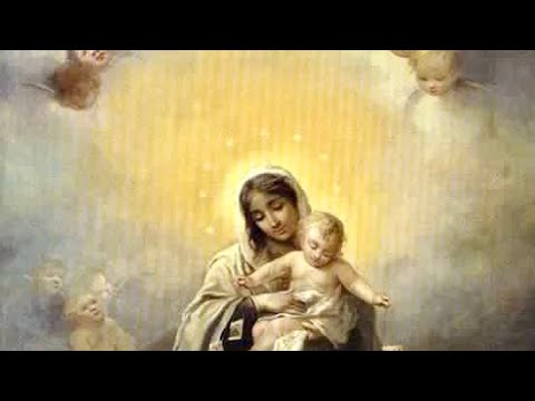 Our Lady of the Angels w/ Fr. Robert Elias