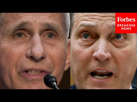 'You Failed Miserably': Jackson Flames Fauci To His Face, Accuses Him Of Covering Up Lab-Leak Theory