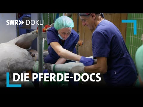 Die Pferde-Docs: Ein Herz für große Tiere | SWR Doku