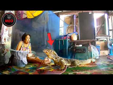 Incredible Moments Caught on Camera (P119)