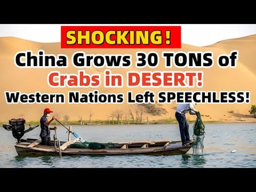 SHOCKING! China Grows 30 TONS of Crabs in DESERT! Western Nation Left SPEECHLESS!