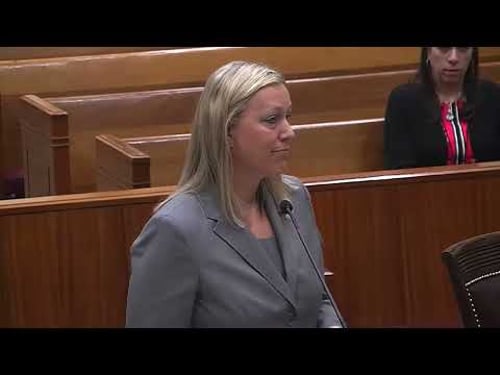 LAWYER BEHAVING BADLY-Attorney Trust Account Disbarment Fla. Bar v. Anderson | SC18-1646 | | FL Sup.