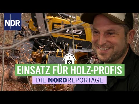 Holz, Hightech, Harvester - Einsatz für die Forstmaschinen-Profis | Die Nordreportage | NDR