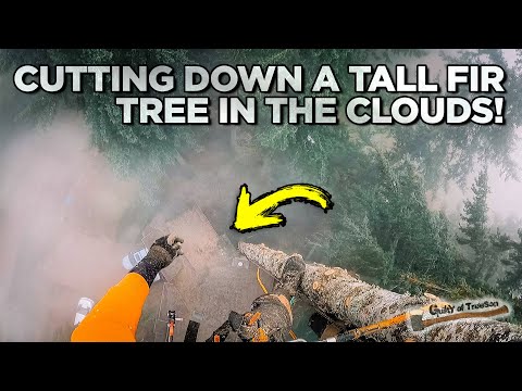 This Tree Was ONE Foot Away From The HOUSE!