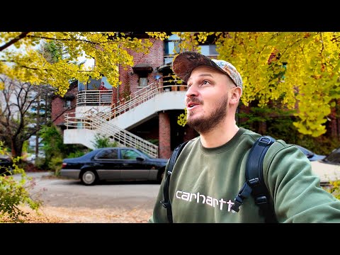 I Finally Went to Yangjae-dong and Now I Get Why People Love It