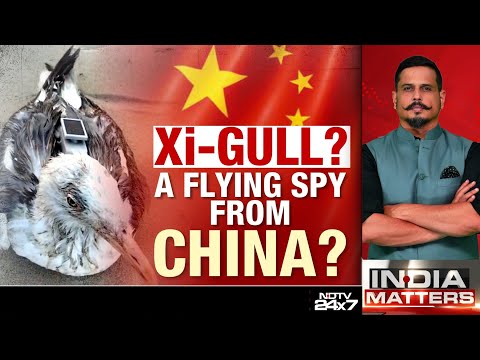 India China Relations | Is China Using Birds To Spy?