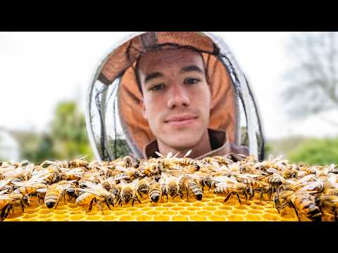 Checking the bees - First Beekeeping inspection of the year (good and bad news)