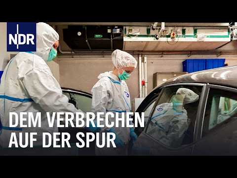 Mit der Hamburger Spurensicherung "Spusi" am Tatort | Die Nordreportage | NDR Doku