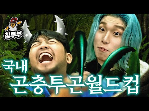 한국에서 제일 쎈 곤충 월드컵