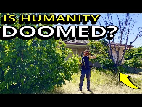 This NEGLECTED Yard REVEALED Something UGLY About People