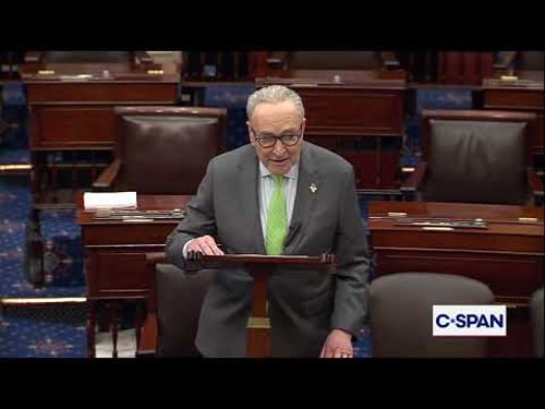 Senators Schumer and Thune Debate DHS Shutdown