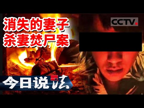 《今日说法》异国他乡 杀妻焚尸!男子全城贴寻妻启事 警方却从中发现端倪 20160730 | CCTV今日说法频道