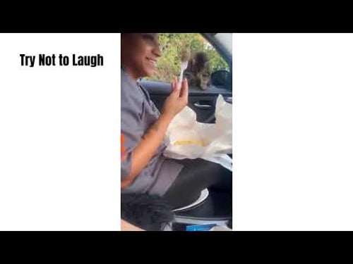 Try Not to Laugh Challenge (IMPOSSIBLE) Laugh and You Lose! Part 1
